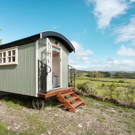 The Heron Shepherds Hut At Lyth Valley Brigsteer Buitenkant foto